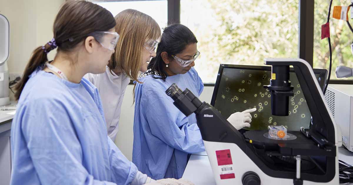 Maija and her team in teh lab looking at a screen image produced by a microscope