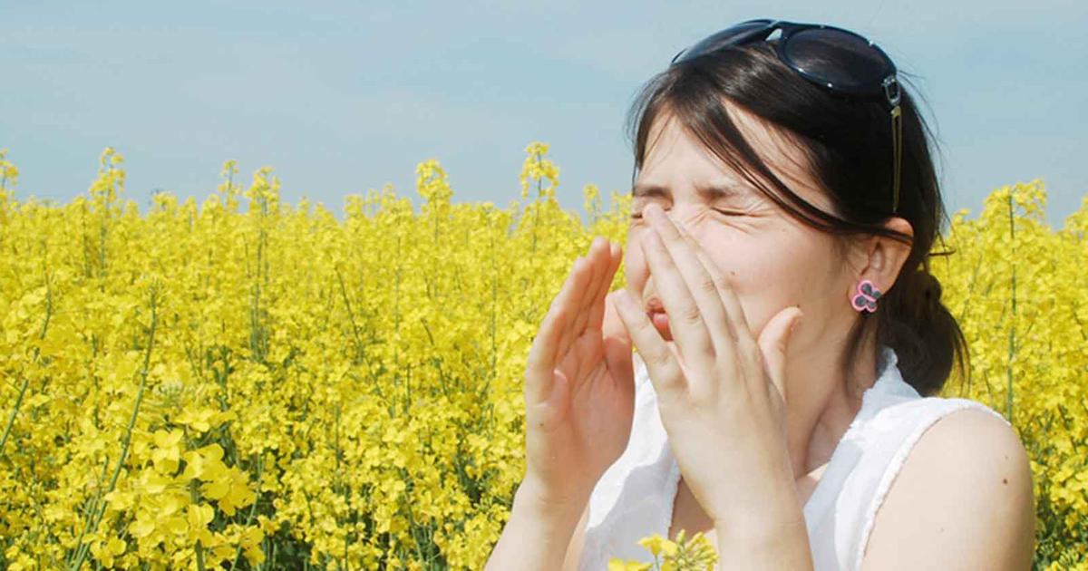 Hay Fever Nothing to Sneeze at: Specialists