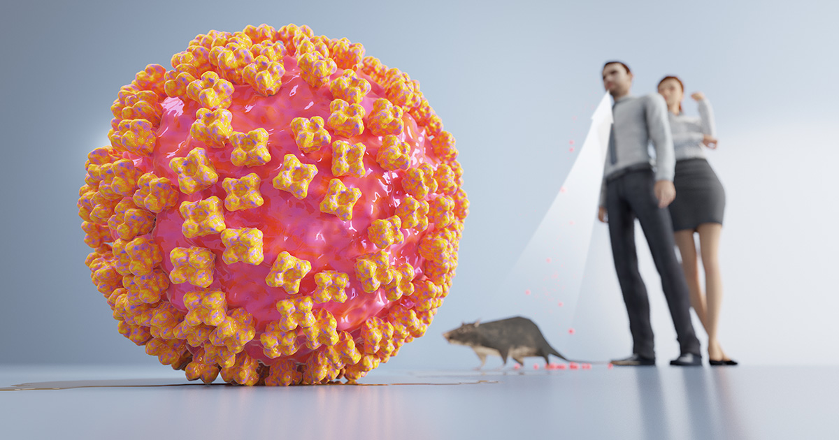 What is hantavirus?
