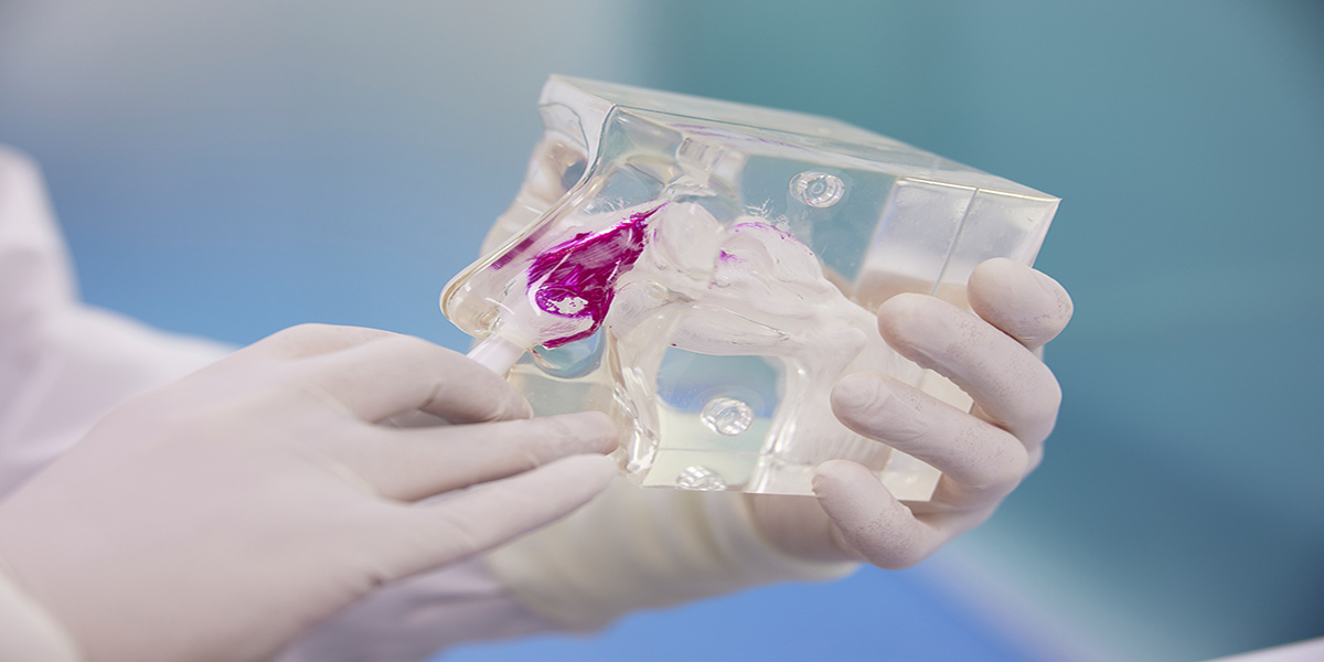 Developing a 3D nasal model for targeted drug delivery testing