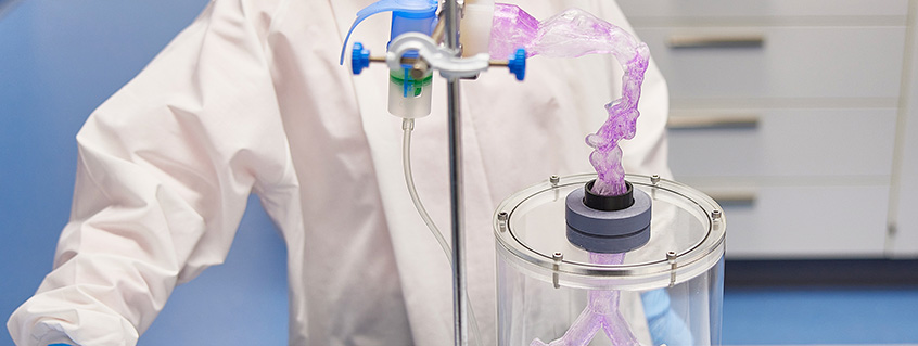 How breathing shapes airway biology and particle deposition