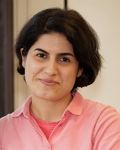 Dr Hanieh Gholizadeh